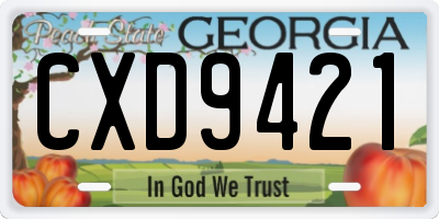 GA license plate CXD9421