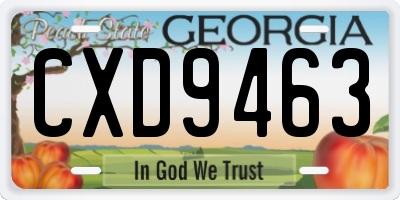 GA license plate CXD9463