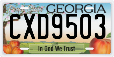 GA license plate CXD9503