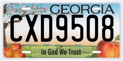 GA license plate CXD9508