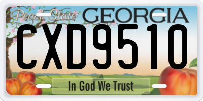 GA license plate CXD9510