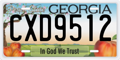 GA license plate CXD9512