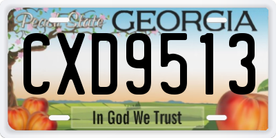 GA license plate CXD9513