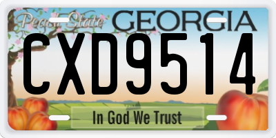 GA license plate CXD9514