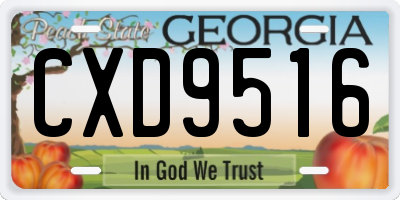 GA license plate CXD9516