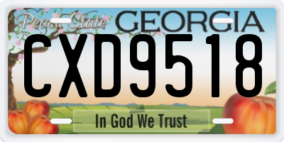 GA license plate CXD9518