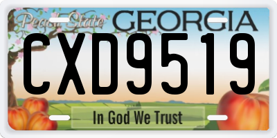 GA license plate CXD9519