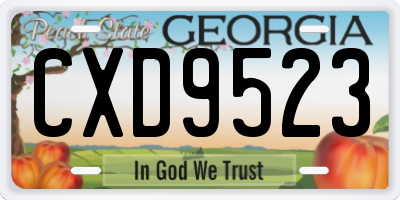 GA license plate CXD9523