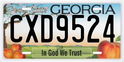 GA license plate CXD9524