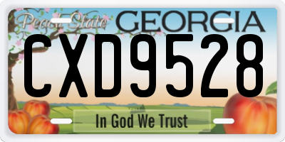 GA license plate CXD9528