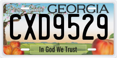 GA license plate CXD9529