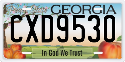 GA license plate CXD9530