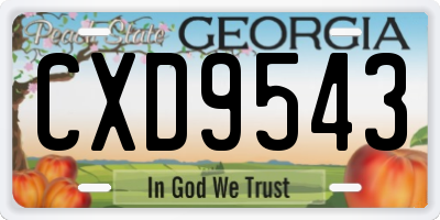 GA license plate CXD9543