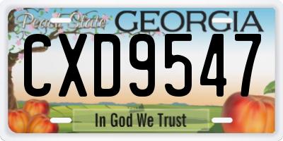 GA license plate CXD9547