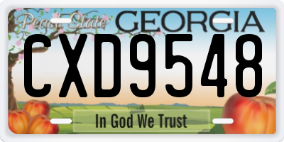 GA license plate CXD9548
