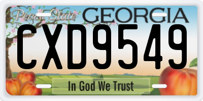 GA license plate CXD9549