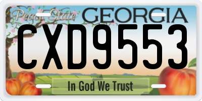GA license plate CXD9553