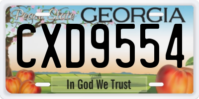 GA license plate CXD9554