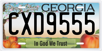GA license plate CXD9555