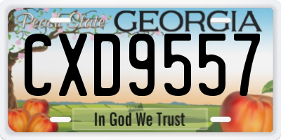 GA license plate CXD9557