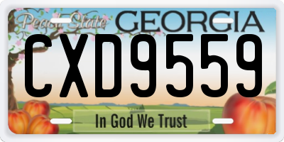 GA license plate CXD9559