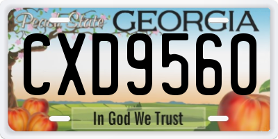 GA license plate CXD9560