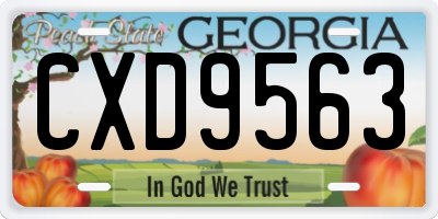 GA license plate CXD9563