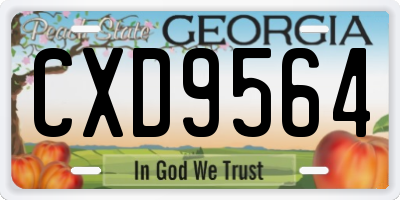 GA license plate CXD9564