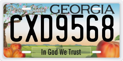 GA license plate CXD9568
