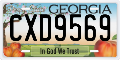 GA license plate CXD9569