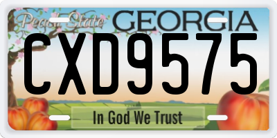 GA license plate CXD9575