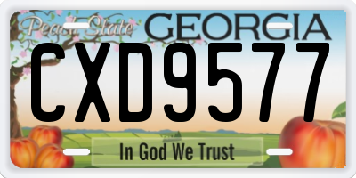 GA license plate CXD9577