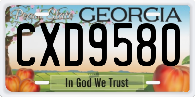 GA license plate CXD9580