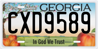 GA license plate CXD9589