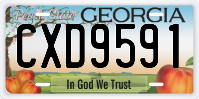 GA license plate CXD9591