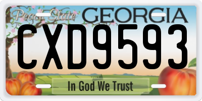 GA license plate CXD9593