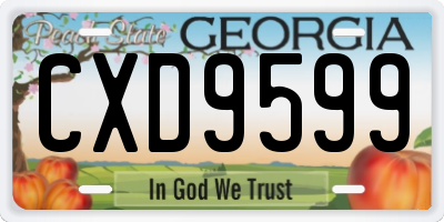 GA license plate CXD9599