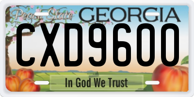 GA license plate CXD9600