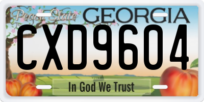 GA license plate CXD9604