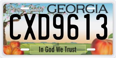 GA license plate CXD9613