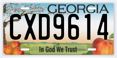 GA license plate CXD9614