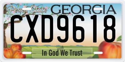 GA license plate CXD9618