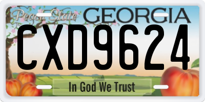GA license plate CXD9624