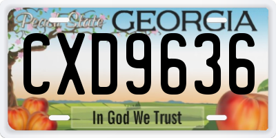 GA license plate CXD9636