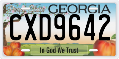 GA license plate CXD9642