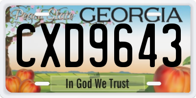 GA license plate CXD9643