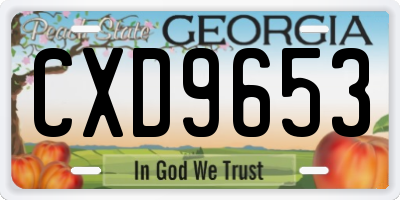 GA license plate CXD9653