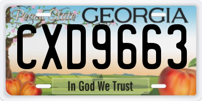 GA license plate CXD9663