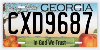 GA license plate CXD9687