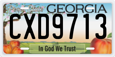 GA license plate CXD9713